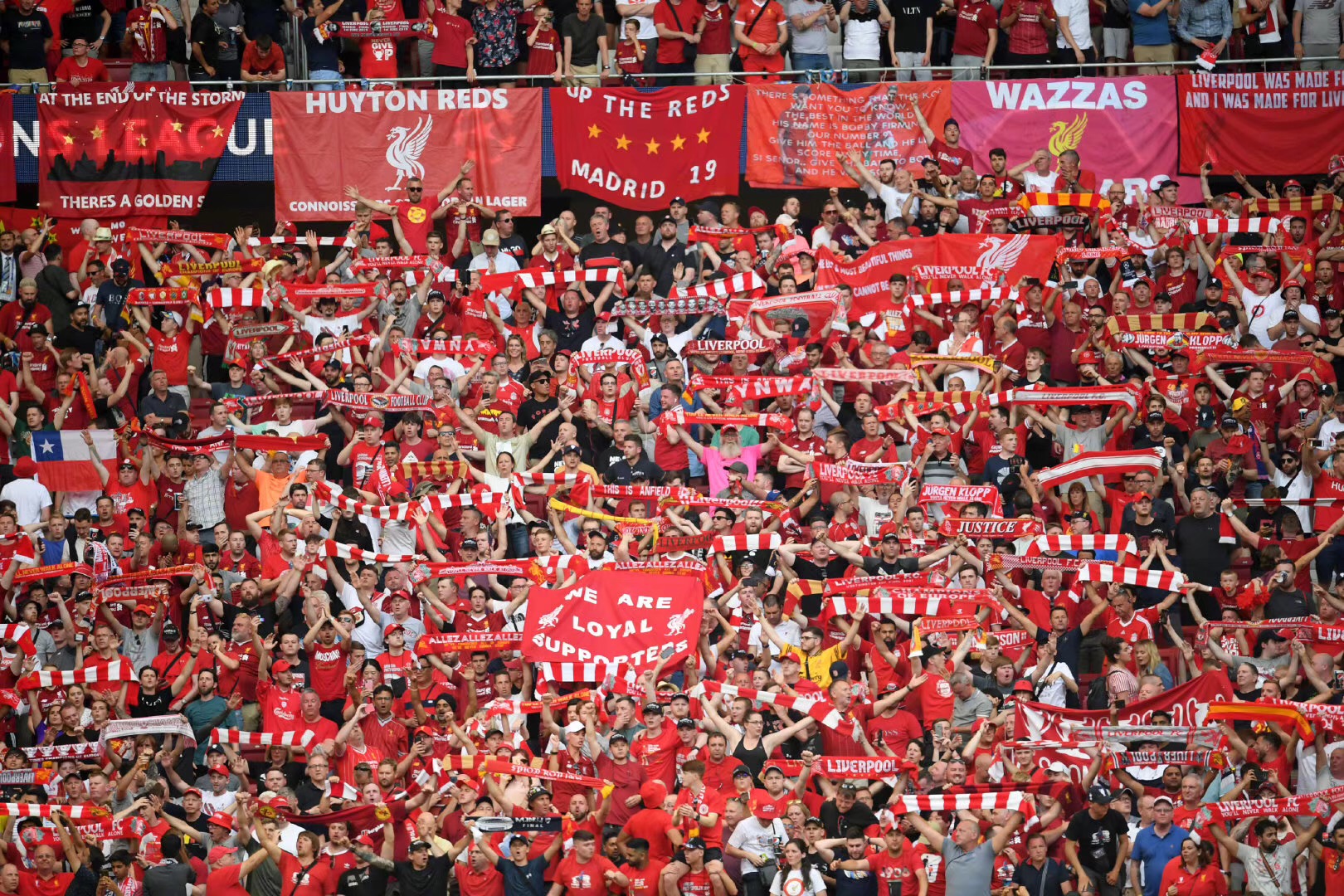 字母哥37+11 雄鹿完胜国王