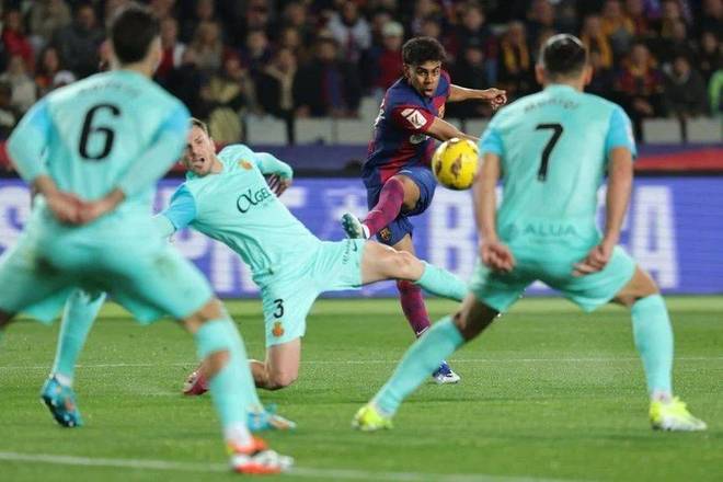 综合体育深度专题报道 重要赛事背景全面解读